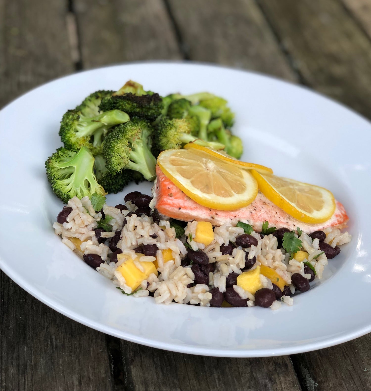 Propello Life Healthy Recipe Blog wild caught salmon dinner