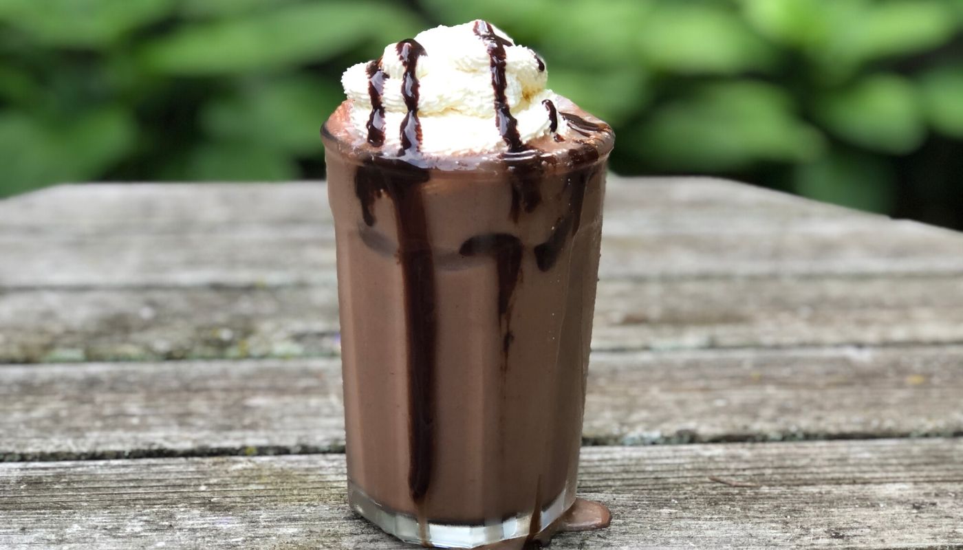 propello life healthy recipe chocolate mocha chip protein shake made with grass fed whey protein