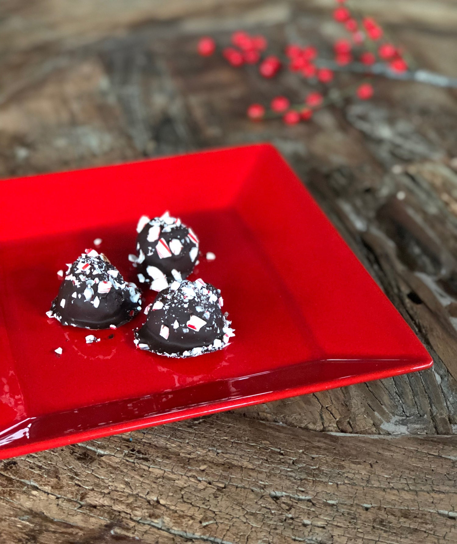 Propello Life Peppermint Chocolate Energy Bites - healthy snack