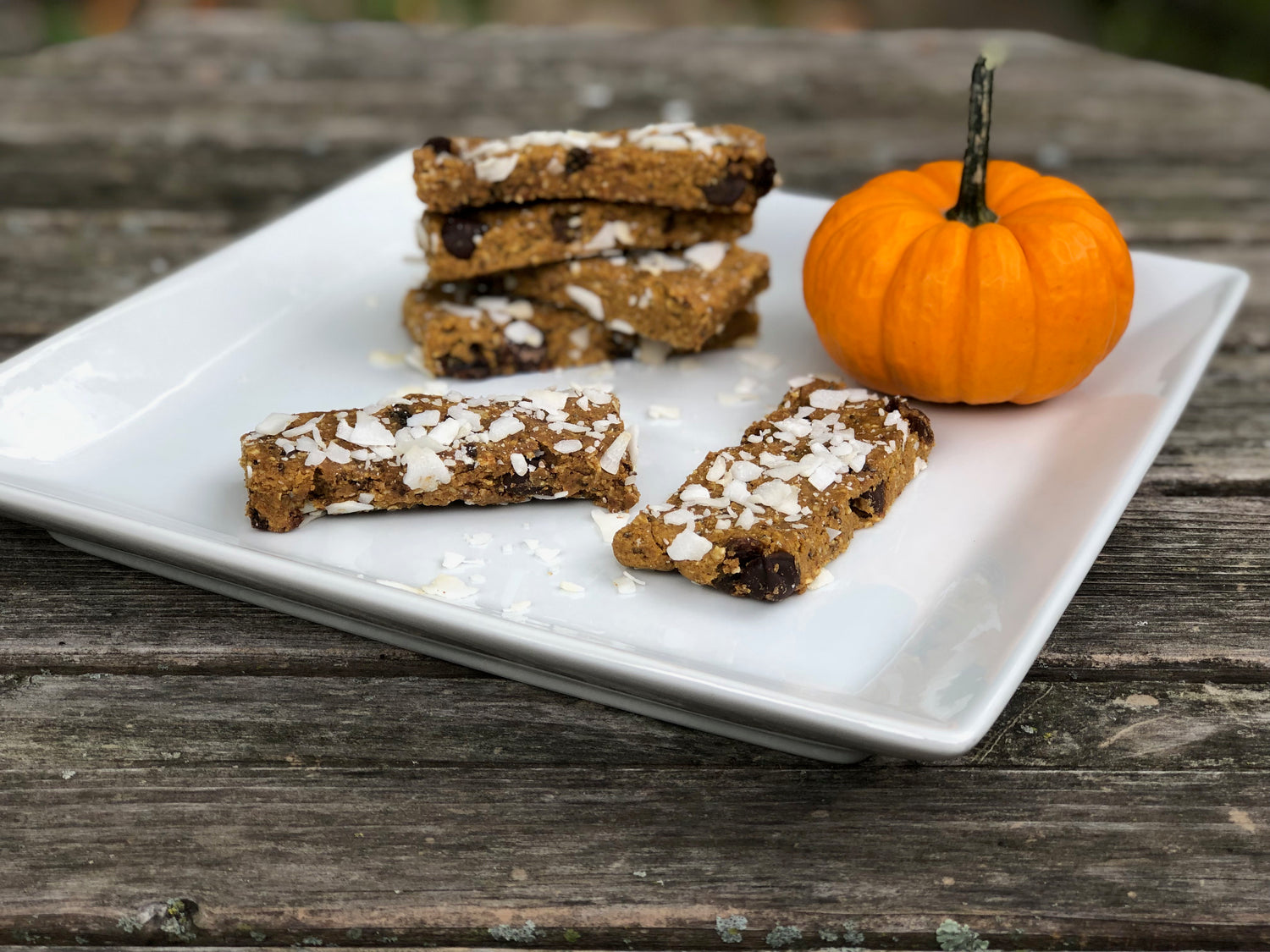 Propello Life chocolate chip pumpkin energy bars