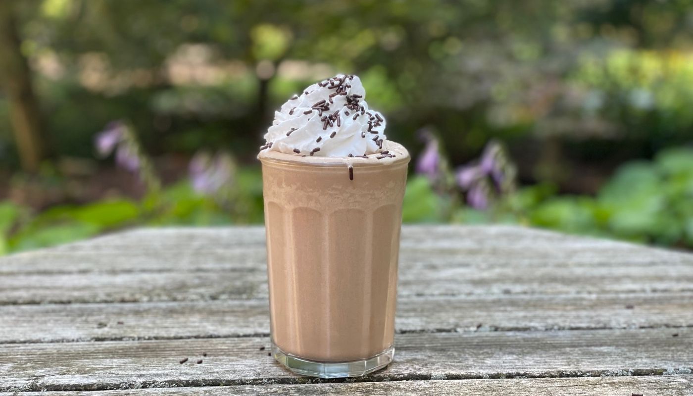 Propello Life healthy recipe Healthy Chocolate Milkshake made with the best grass fed whey protein and natural supplements