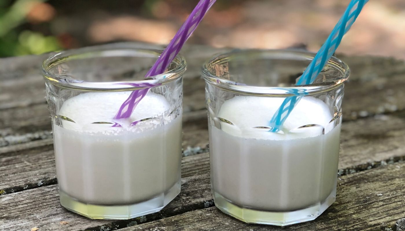 propello life healthy vanilla ice cream shake recipe made with grass fed whey protein