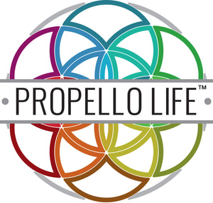 Propello Life Blog Overview
