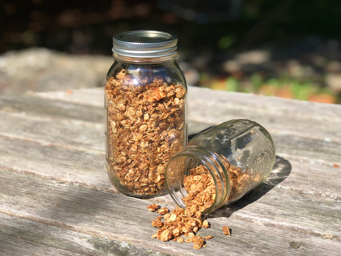 Propello Life Cinnamon Maple Protein Granola