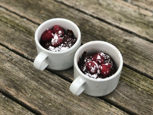 Propello Life Double Chocolate Protein Mug Cake