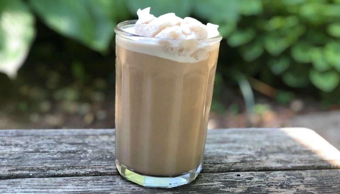 Propello Life Healthy Recipe Iced Vanilla Latte made with grass fed whey protein