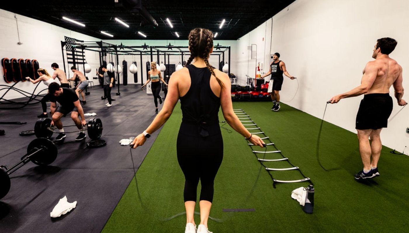 What is the Best Grass-Fed Whey Protein?
