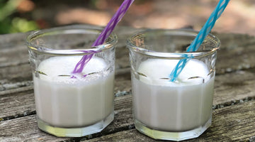propello life healthy vanilla ice cream shake recipe made with grass fed whey protein