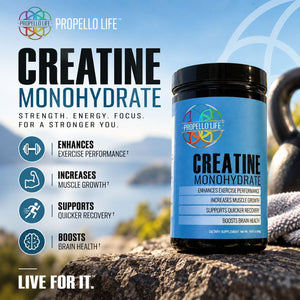 Creatine Monohydrate (Strength, Energy, Cognitive Support)
